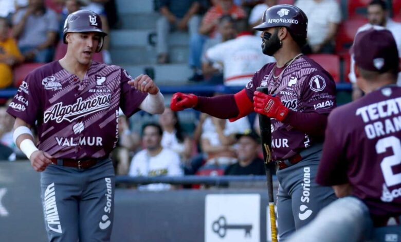 Los tecolotes de los dos laredos