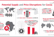 Why the global cocoa market is melting down