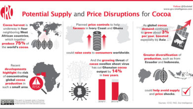 Why the global cocoa market is melting down