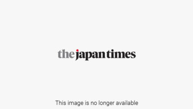 Checks and balance newsletter trump biden and piratical shamelessness