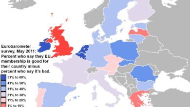 Europeans lack visceral attachment to the eu does it matter
