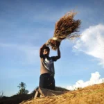 Bobibos: Indonesia Unveils Revolutionary Agri-Waste-Based Fuel, Promising Environmental and Economic Transformation