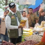 Ensuring National Cooking Oil Stability: BULOG Affirms Minyakita Supply and Price Control Amidst Rising Demand