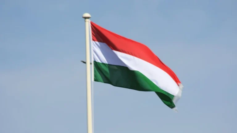 Hungarian Prime Minister Peter Magyar Demands Resignation of President Tamas Sulyok Amid Sweeping Political Reforms