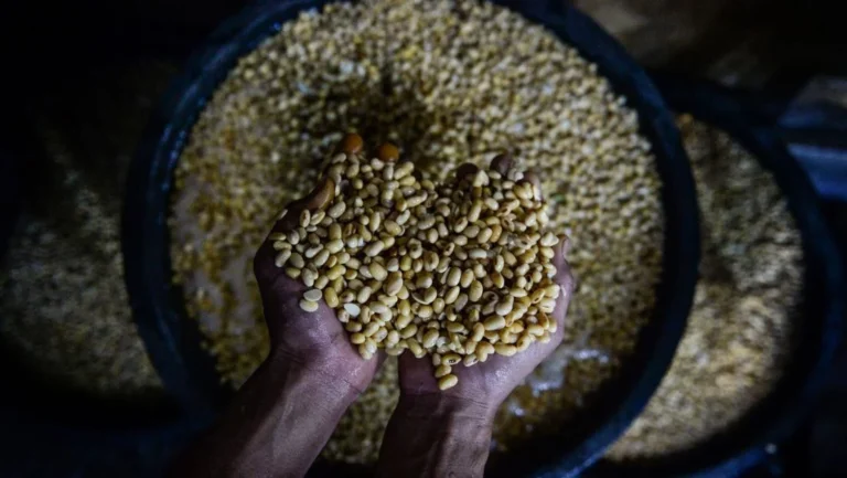 Indonesia Grapples with Rising Soybean Prices Amidst Middle East Tensions, Government Mobilizes to Stabilize Staple Food Costs