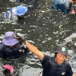 Jakarta Mobilizes Massive Sweep to Combat Invasive Sapu-Sapu Fish Threatening Urban Aquatics