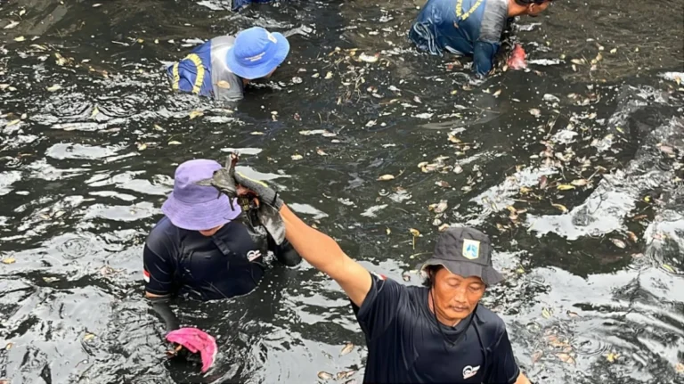 Jakarta Mobilizes Massive Sweep to Combat Invasive Sapu-Sapu Fish Threatening Urban Aquatics