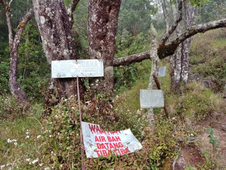 Mount Ciremai Linggarjati Route Continues to Challenge Mountaineers with Historical Significance and Extreme Terrain