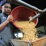 Soaring Soybean Prices Cripple Tofu Production Nationwide, Prompting Central Java’s Subsidy Readiness Amidst Recurring Food Security Concerns