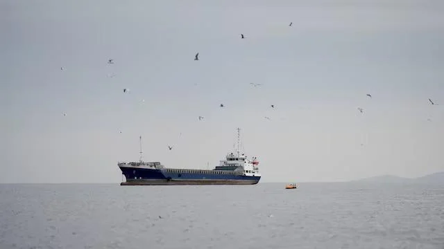 Trump Announces Joint Efforts to Clear Sea Mines in the Strait of Hormuz as Iran Signals Opening of Strategic Waterway