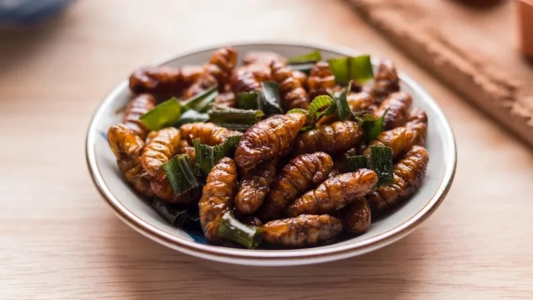 TasteAtlas Releases List of Worst Rated Southeast Asian Dishes Featuring Controversial Delicacies and Cultural Staples Across the Region