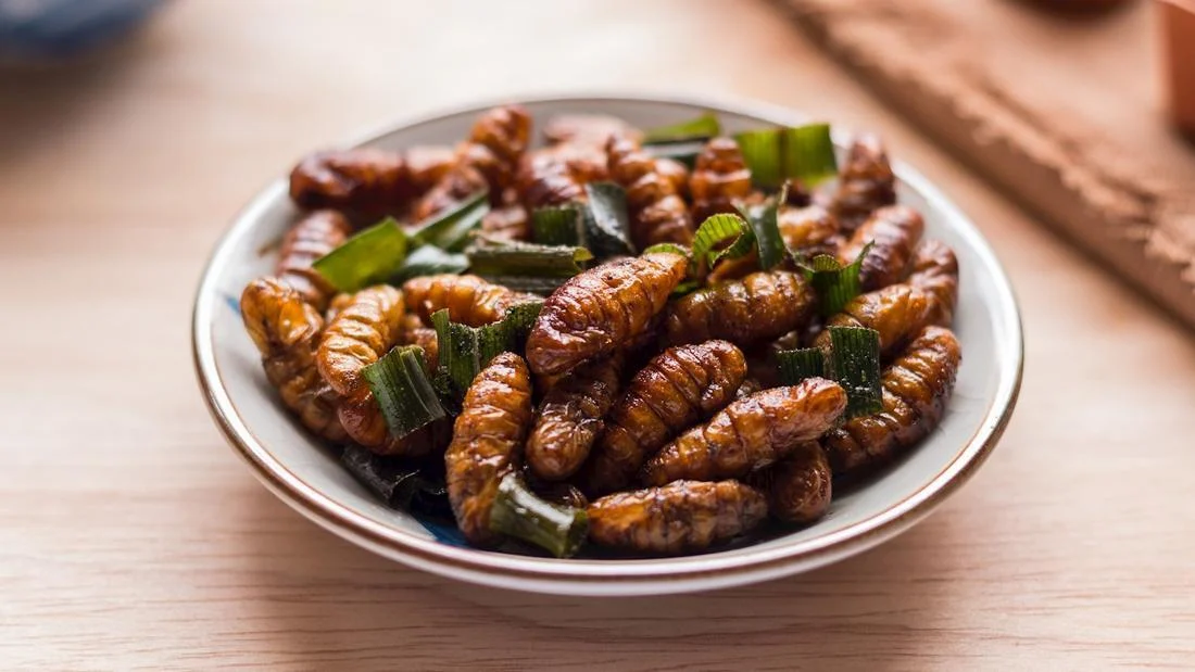 TasteAtlas Releases List of Worst Rated Southeast Asian Dishes Featuring Controversial Delicacies and Cultural Staples Across the Region