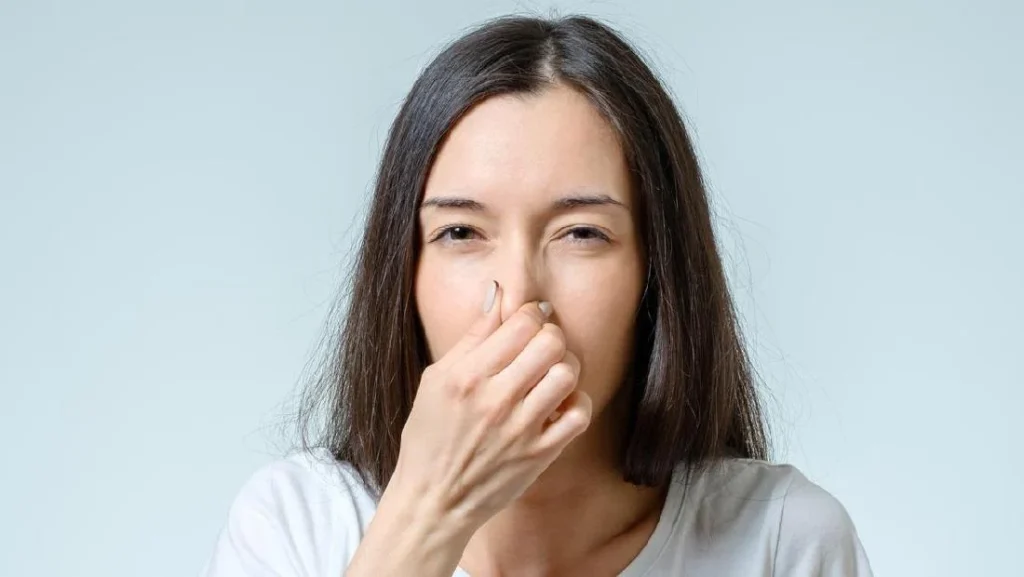 Science Flashbacks The Science Behind Olfactory Memory and Why Certain Scents Trigger ...
