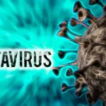 Understanding Andes Hantavirus and the Outbreak on the MV Hondius Including Potential Human-to-Human Transmission