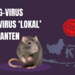 Understanding Serang Virus the Local Hantavirus Strain Identified in Banten Indonesia
