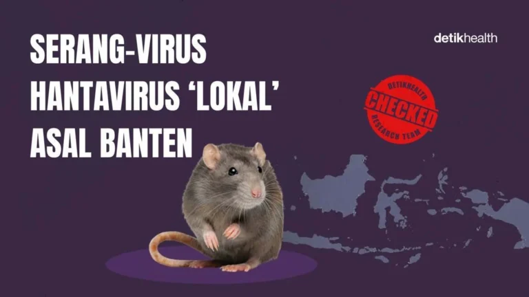 Understanding Serang Virus the Local Hantavirus Strain Identified in Banten Indonesia