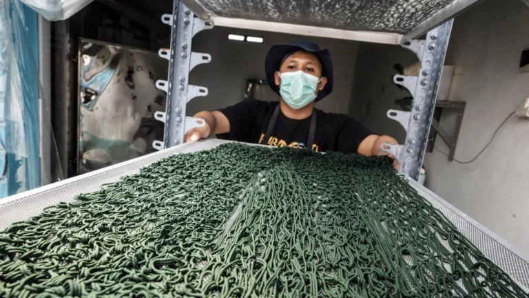 Albitec Drives Semarang’s Emergence as a Spirulina Hub, Cultivating High-Value Biomass for Global Health, Food, and Cosmetic Industries.