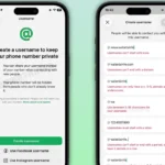India Urges WhatsApp to Halt Username Rollout Citing Heightened Online Crime Risks and Impersonation Concerns for Public Figures