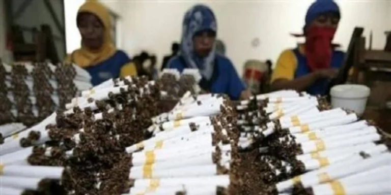 Indonesia’s Policy Crossroads: Balancing Global Health Agendas with National Economic Sovereignty in the Tobacco Sector