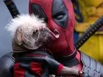 Ryan Reynolds Confirms Another Deadpool Movie is in the Works