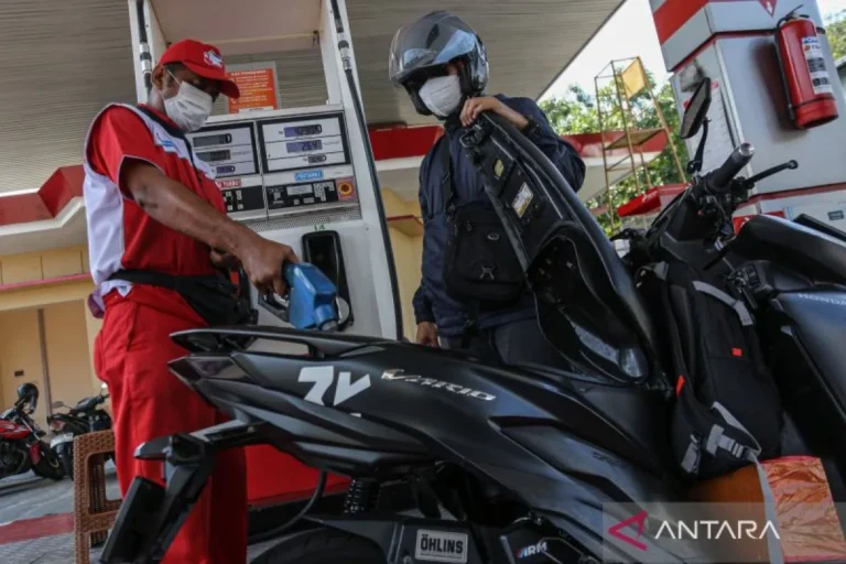 The Persistent Buzz: Can Eucalyptus Oil in Gasoline Truly Boost Fuel Efficiency?