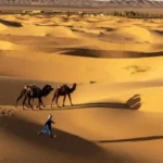 The Sahara Desert’s Ancient Secret: A Lush, Green Past Driven by Earth’s Orbital Dance