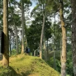 Trekking in Bogor: A Convenient Escape for Jakarta’s Urban Dwellers