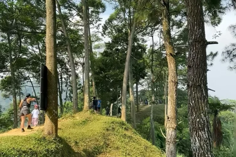 Trekking in Bogor: A Convenient Escape for Jakarta’s Urban Dwellers