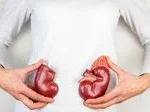 Breaking Barriers in Medicine: American Patient Survives for 9 Months Using Genetically Modified Pig Kidney Before Receiving Human Donor Organ