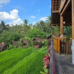 Exploring the Authentic Flavors of Banyuwangi: A Culinary Journey Through Osing Heritage at Waroeng Kemarang