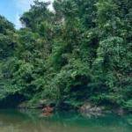 Hidup Selaras dengan Alam di Desa Setulang