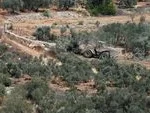 Israeli Forces Uproot Hundreds of Olive Trees in West Bank Town of Beit Rima Ahead of Harvest Season