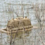 Makam Kuno Muncul Saat Waduk Gajah Mungkur Surut, Ternyata Ini Sosoknya