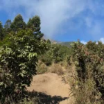 Menapaki Jejak Kolonial dan Keindahan Senja: Perjalanan Pendakian Gunung Sumbing via Gajah Mungkur