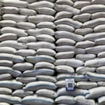 National Rice Stock Surges to 4.8 Million Tons, Perum Bulog Rents Private Warehouses to Manage Overcapacity