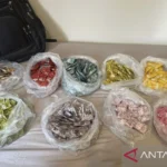 The Silent Threat: Unmasking the Dangers of Etomidate-Laced Vape Products in Indonesia