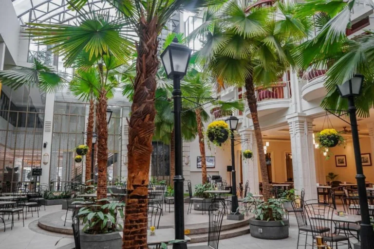 Echoes of the Colonial Era: Indonesia’s Iconic Heritage Hotels That Still Define Luxury Today