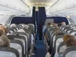 Essential Guide to Air Travel Security: Why Certain Valuables Must Always Be Carried in the Cabin
