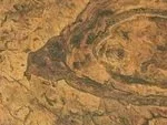 NASA captures image of mysterious spider-shaped crater in Australia’s Kimberley region