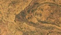 NASA captures image of mysterious spider-shaped crater in Australia’s Kimberley region