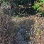 Rediscovering History: The Architectural and Historical Significance of Temanggung’s Abandoned Colonial-Era Railway Bridge Over the Progo River