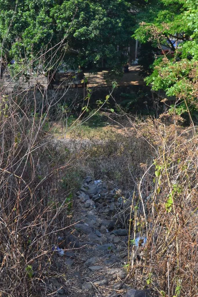 Rediscovering History: The Architectural and Historical Significance of Temanggung’s Abandoned Colonial-Era Railway Bridge Over the Progo River