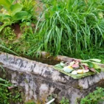 Reviving the Roots: How Saparan Gogik 2026 Bridges Ancestral Heritage, Ecological Conservation, and Youth Activism in Magelang