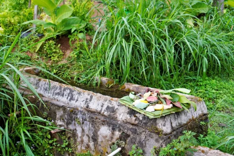 Reviving the Roots: How Saparan Gogik 2026 Bridges Ancestral Heritage, Ecological Conservation, and Youth Activism in Magelang