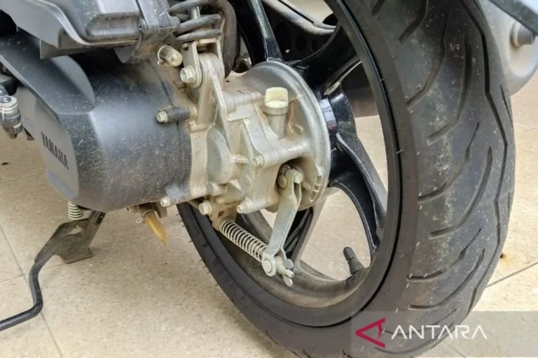 Understanding and Resolving Motorcycle Brake Squeal: A Comprehensive Technical Guide for Rider Safety
